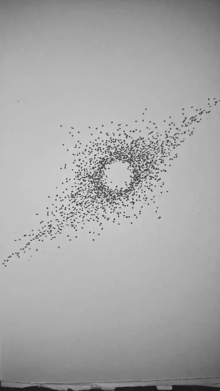 Radial burst — the raw gesture behind the Shoonya scatter.